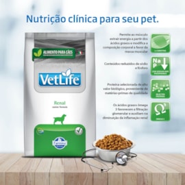 Ração Cães Vet Life Renal 10kg