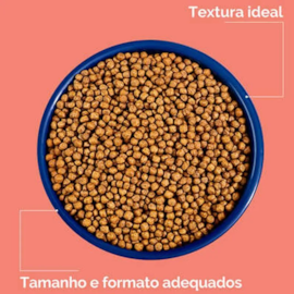 Ração Gato Oigens Filhotes Frango e Cereais 01Kg
