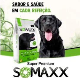 Ração Somaxx Super Premium Cães Adultos 15Kg