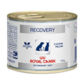 RACAO UMIDA CAES/GATO ROYAL CANIN LATA RECOVERY...