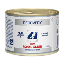 RACAO UMIDA CAES/GATO ROYAL CANIN LATA RECOVERY 195GR