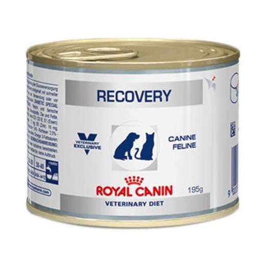 RACAO UMIDA CAES/GATO ROYAL CANIN LATA RECOVERY 195GR - Avipec Produtos