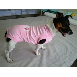 Roupa Cirúrgica N°1 Kaleo Dog