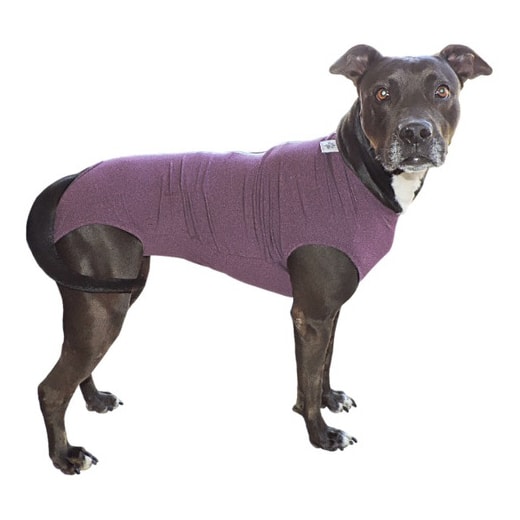 Roupa Cirúrgica N°12 Kaleo Dog