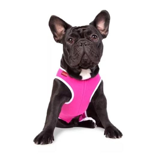 Roupa Cirúrgica N°7 Kaleo Dog