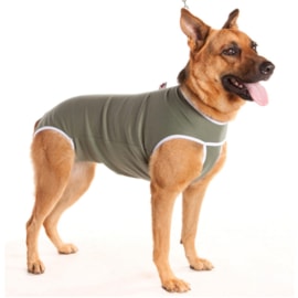 Roupa Cirúrgica Para Cães N°10