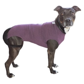 Roupa Cirúrgica Para Cães N°12