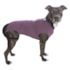 Roupa Cirúrgica Para Cães N°12