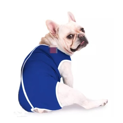 Roupa Cirúrgica Para Cães N°6