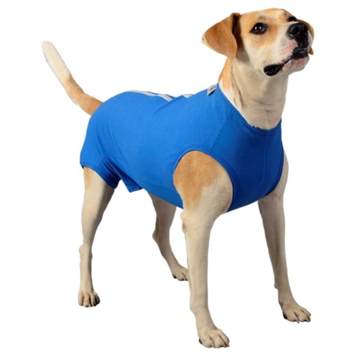 Roupa Cirúrgica Para Cães N°8