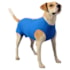Roupa Cirúrgica Para Cães N°8