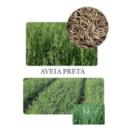 Semente Aveia Preta 20kg Germiforte