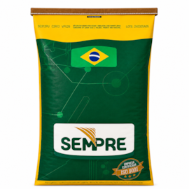 Semente de Milho Hibrido Sempre 20A12 VIP3 - 60mil Sementes