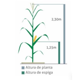 Semente Milho Priorizi Anhembi 20kg