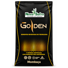 Semente Mombaça Revestida Golden 10kg