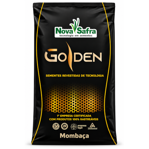 Semente Mombaça Revestida Golden 10kg