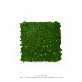 Treliça de Bambu Carbonizado Folhagem de Parreira 100x200