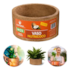 Vaso Nutricoco Individual 03 Nutriplan