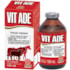 VIT ADE 100ML