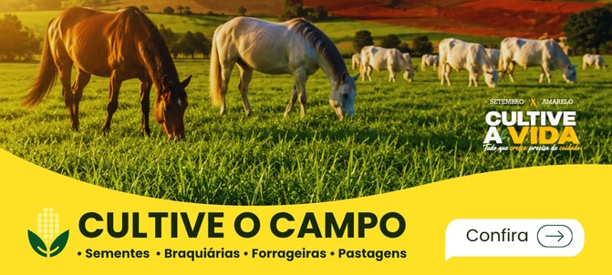 Telas e Arames