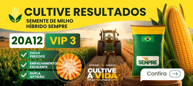 Folhagens e Decorações