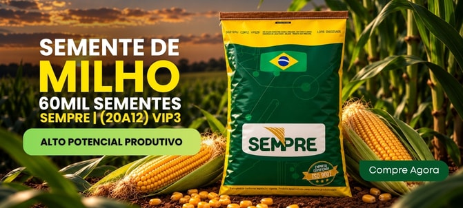Folhagens e Decorações