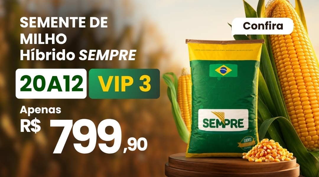 Folhagens e Decorações