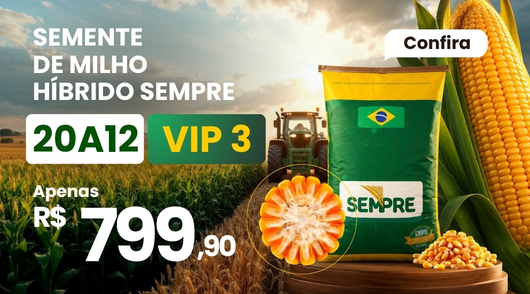 Folhagens e Decorações